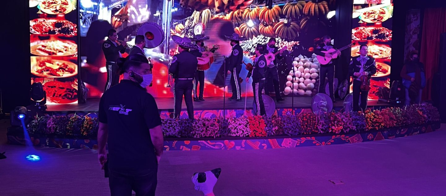 Lanzamientos de Productos y Marcas | Next MKT